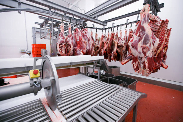Processamento de Carne Bovina